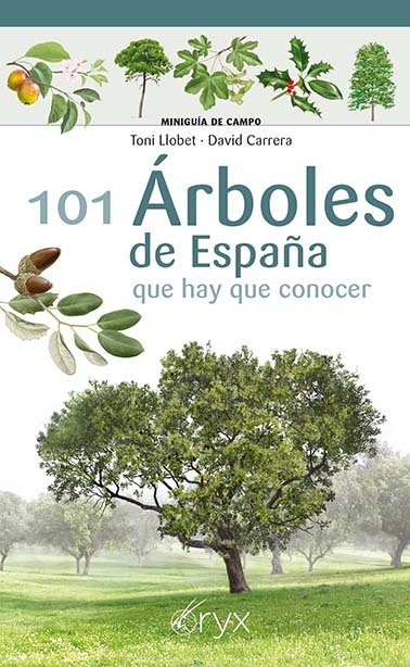 101 Árboles de España: portada
