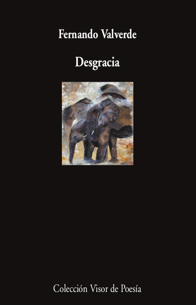 Desgracia: portada