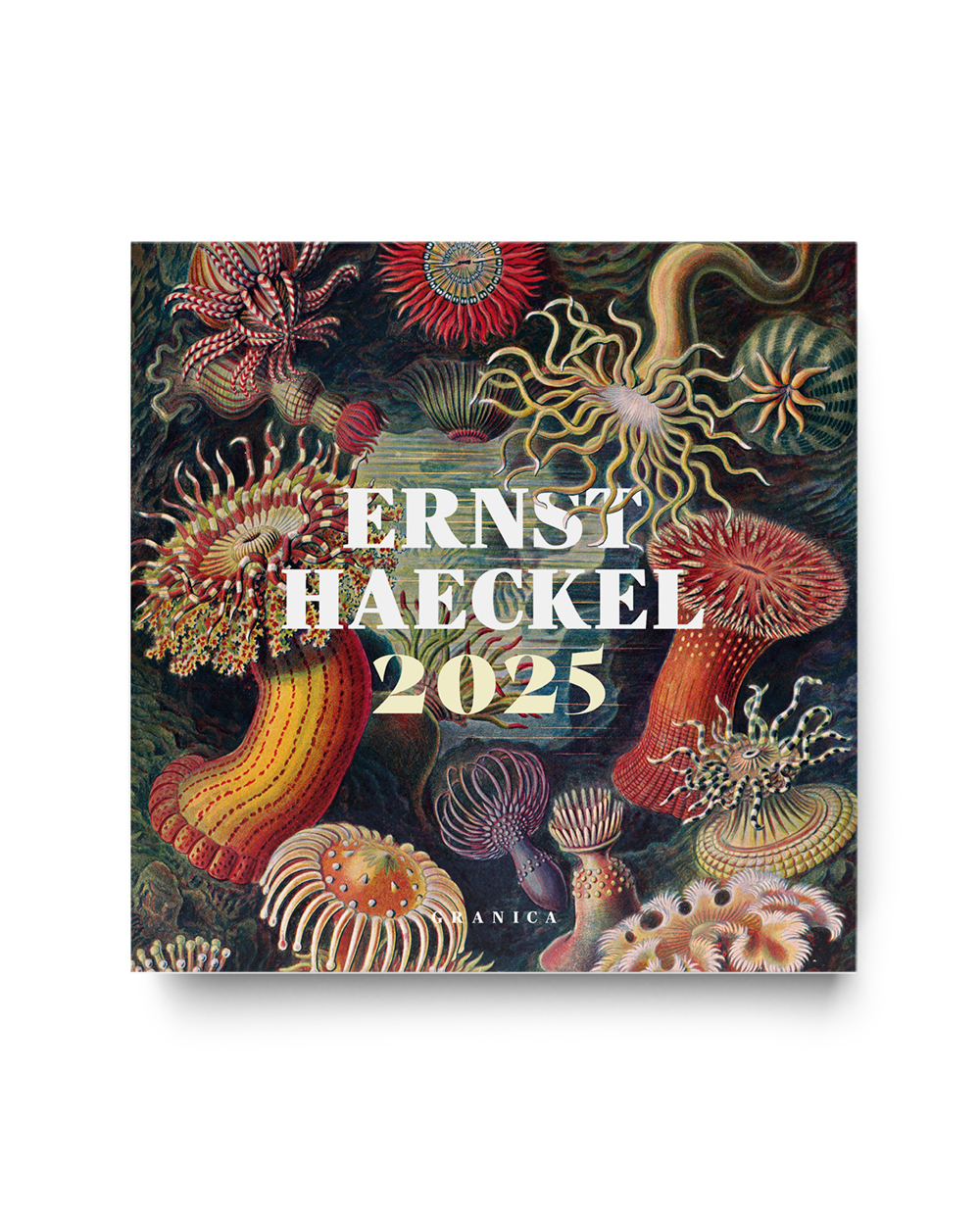 Calendario 2025 Ernst Haeckel de pared
