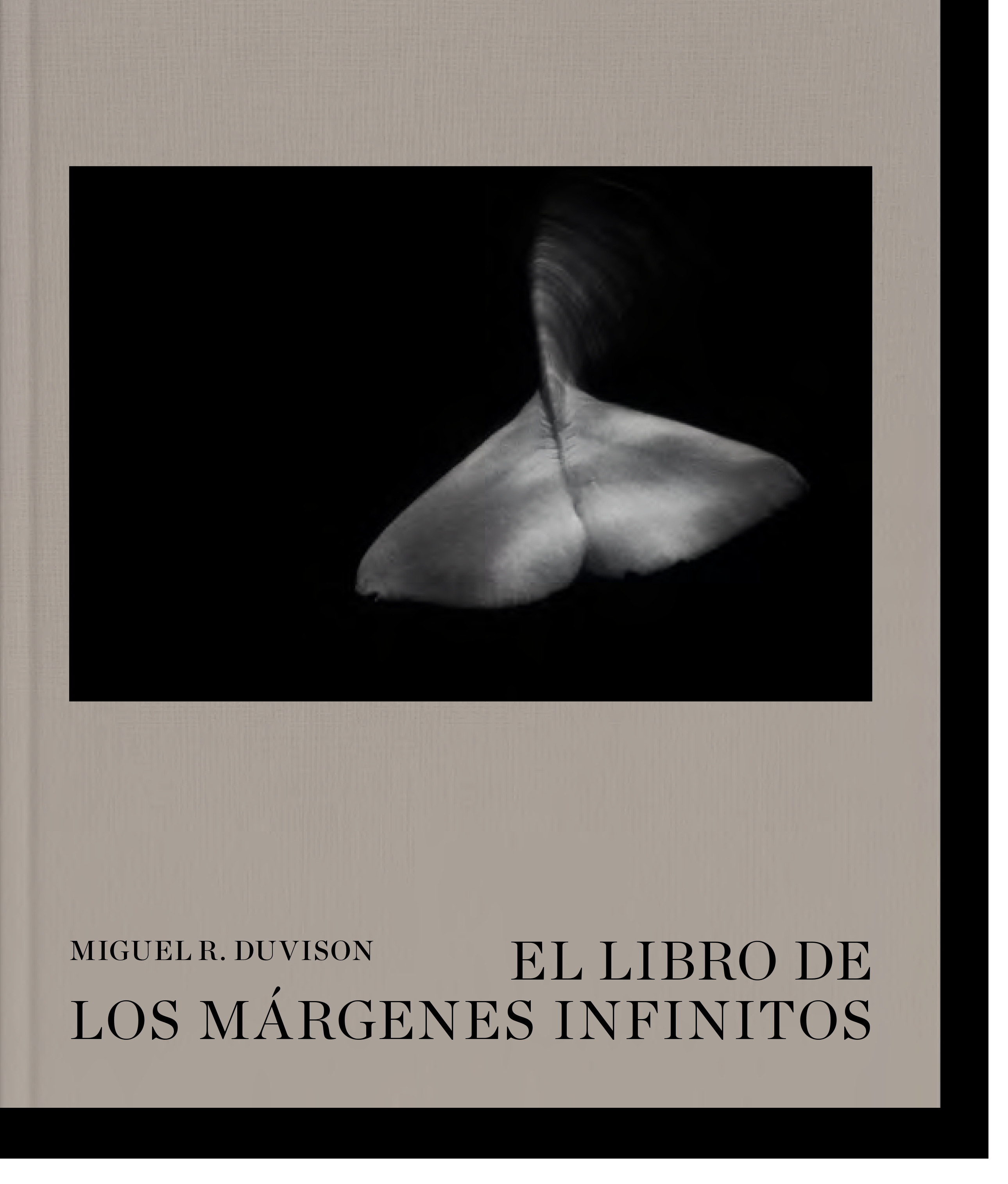 El libro de los márgenes infinitos