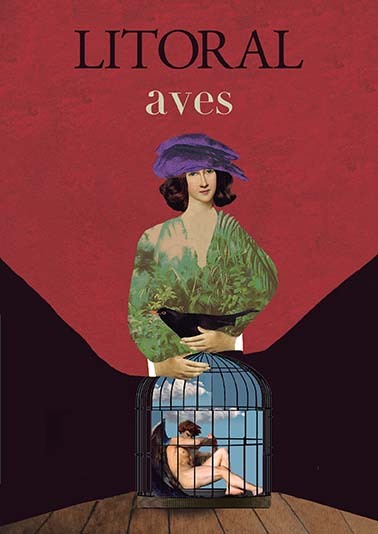 Litoral nº 274: Aves
