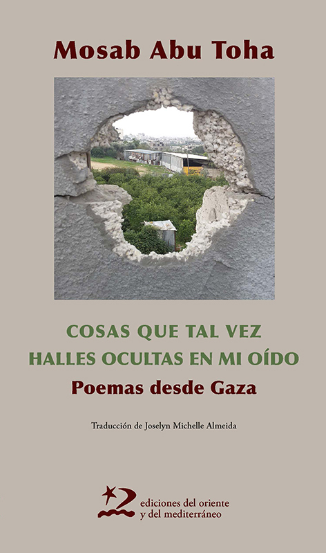 Cosas que tal vez halles ocultas en mi oído