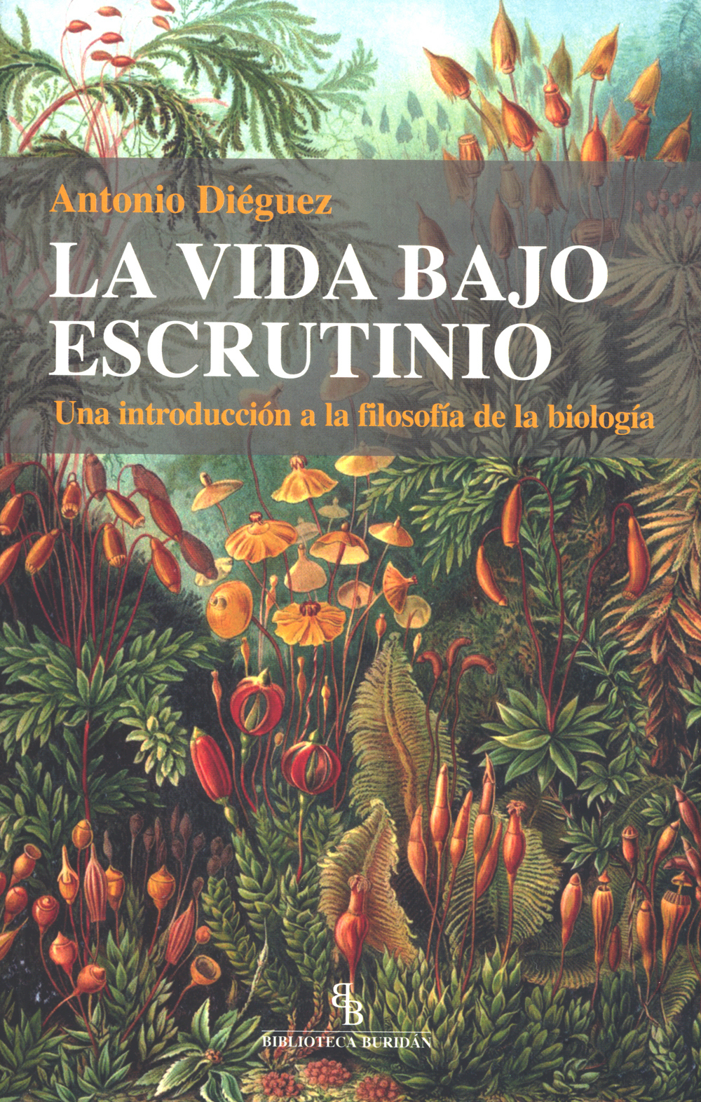 La vida bajo escrutinio