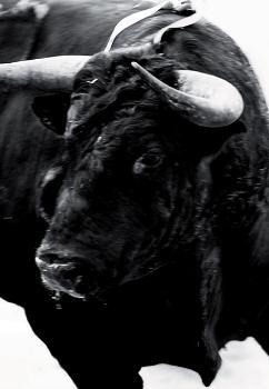 Sangre de Reyes