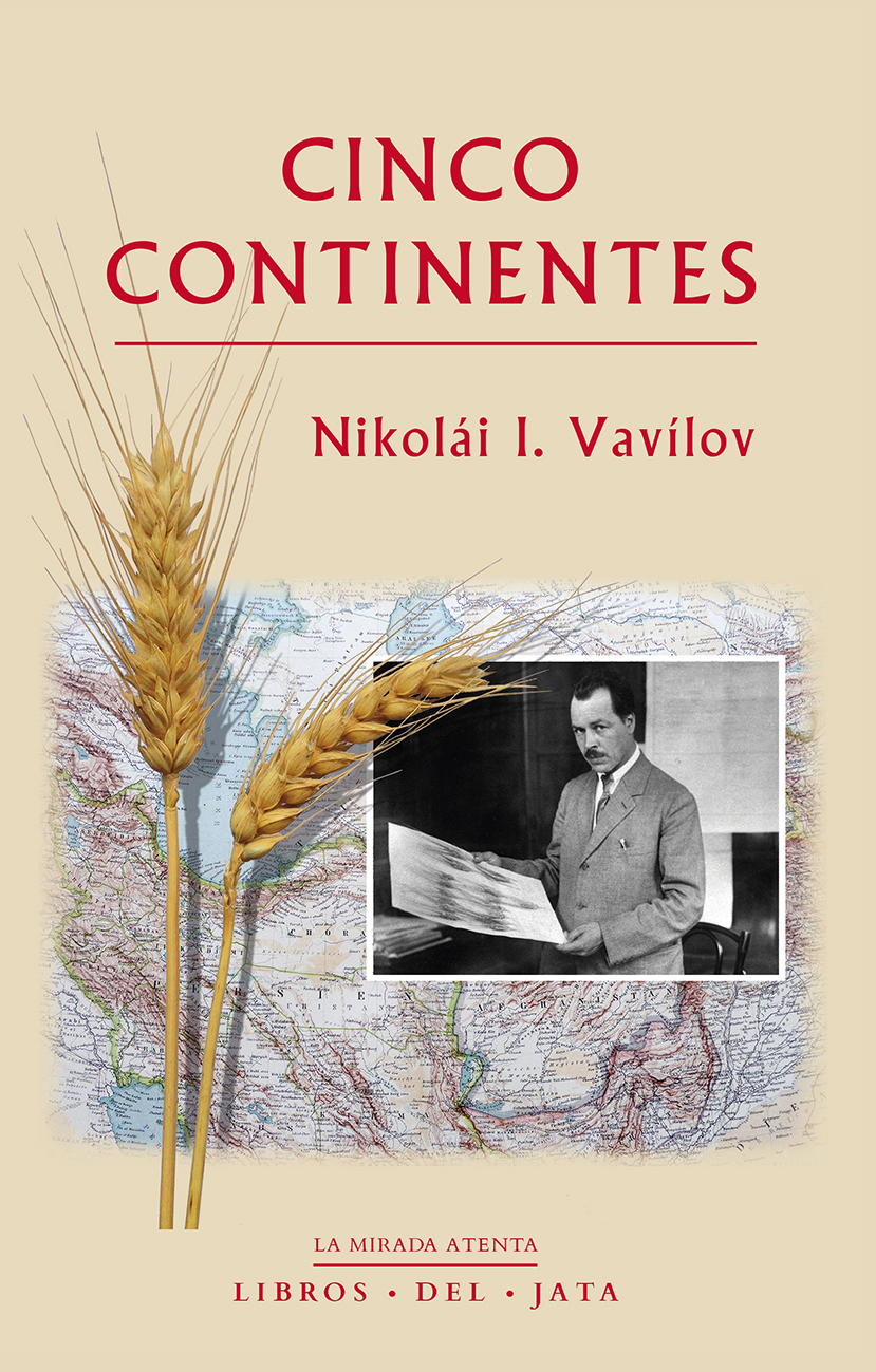 Cinco continentes