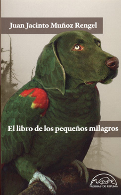 El libro de los pequeños milagros