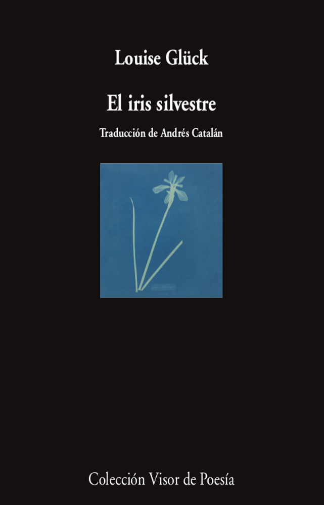 El iris silvestre