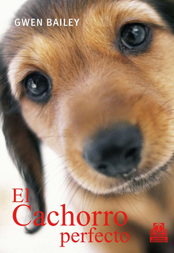 Cachorro perfecto, El (Color)