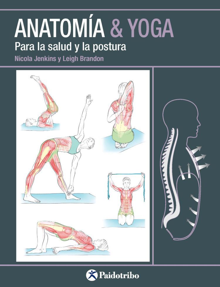 Anatomía & Yoga Para la salud y la postura